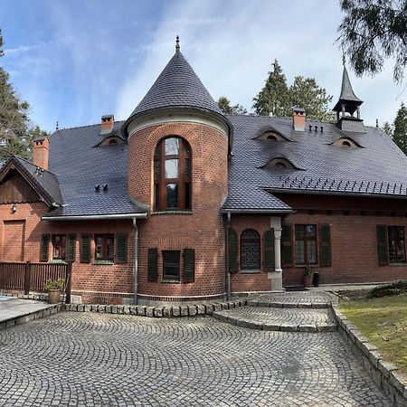 Apartamenty Silva Шклярська Поремба Екстер'єр фото