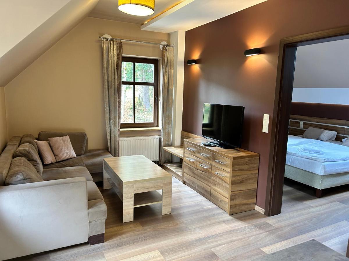 Apartamenty Silva Шклярська Поремба Екстер'єр фото