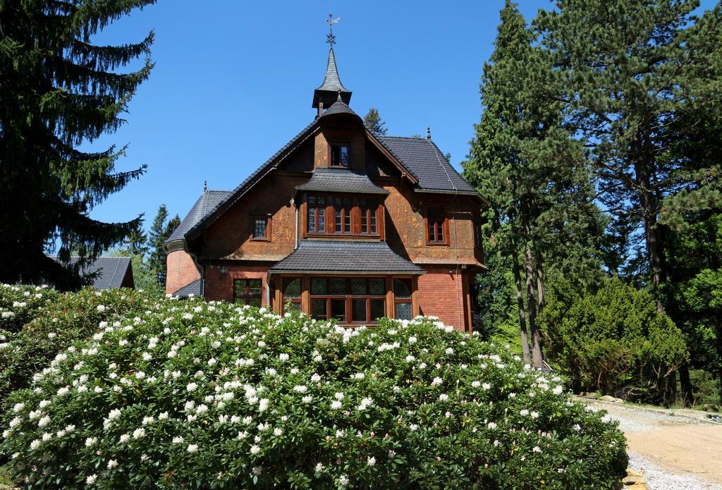 Apartamenty Silva Шклярська Поремба Екстер'єр фото