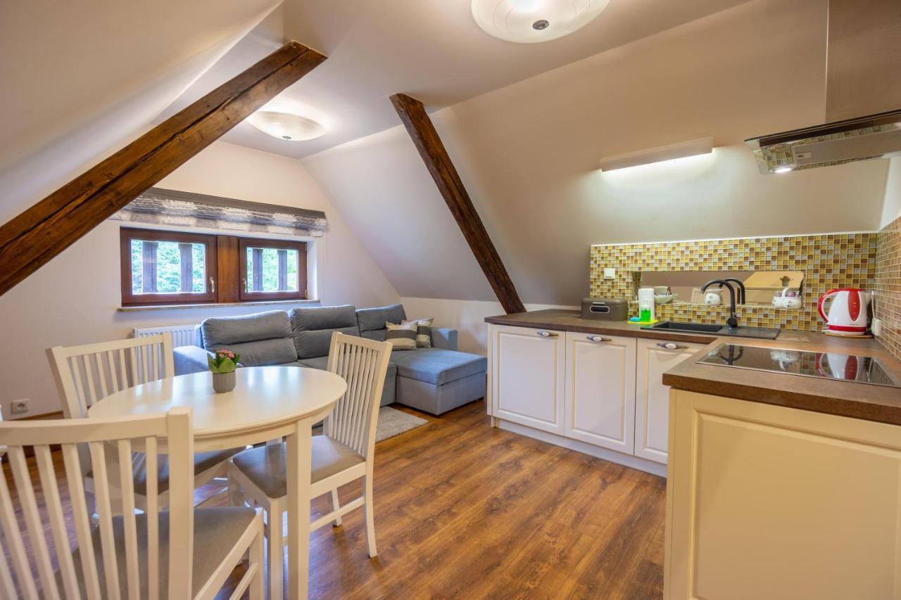 Apartamenty Silva Шклярська Поремба Екстер'єр фото